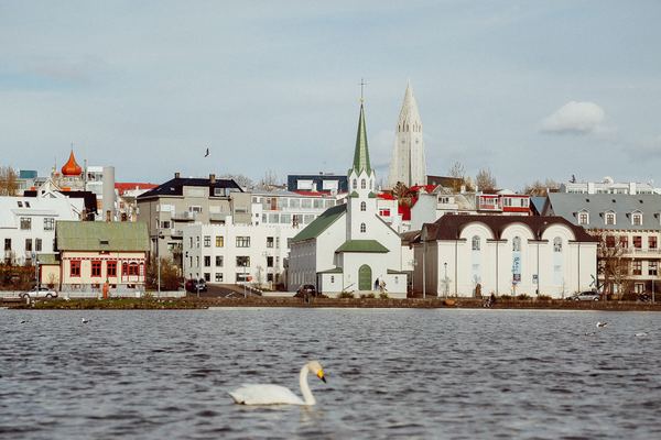 ISREY Reykjavik photography of white swan floating on water body Evelyn Paris.jpg